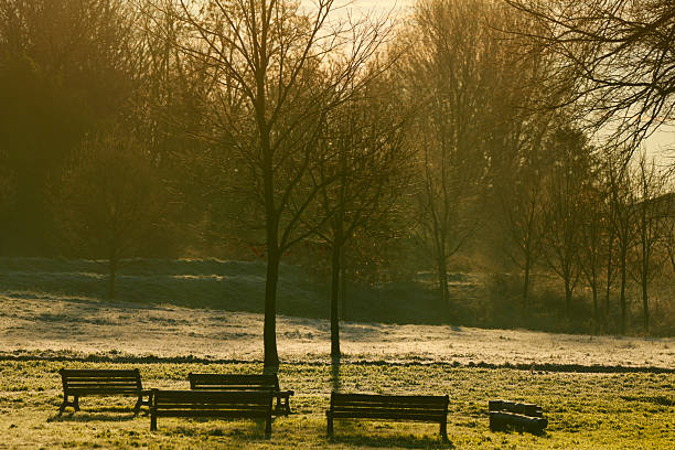 Empty wooden benches in a quiet park at sunrise, surrounded by bare trees and frost-covered grass. Soft golden morning light creates a calm and peaceful winter atmosphere, with no people present.