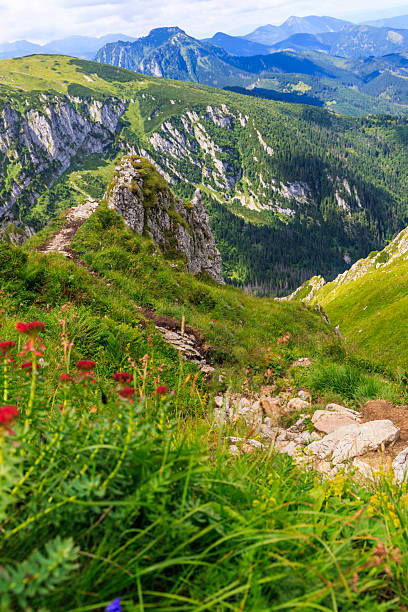 istock Deep Mountain Valley and Steep Rocky Ridges 2253830691