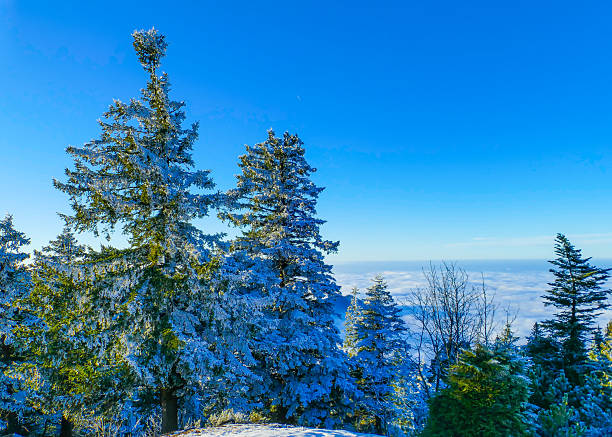 Beauty in Nature Mountain Landscapes Winter