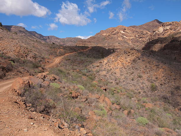 istock Pilancones Natural Park - Barranco de la Data (San Bartolomé de Tirajana, Gran Canaria, Province of Las Palmas, Spain) 2253835253