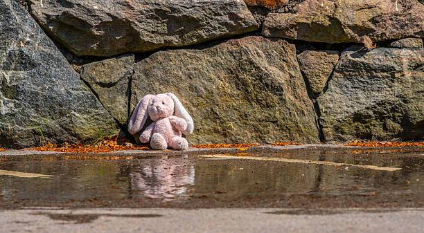 Abandoned teddy bear by stone wall after rain