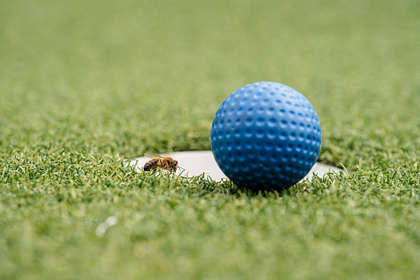 istock Blue golf ball beside hole with honeybee macro view. 2253842661