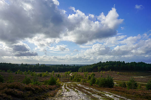 istock Path in the middle of countryside 2253842891