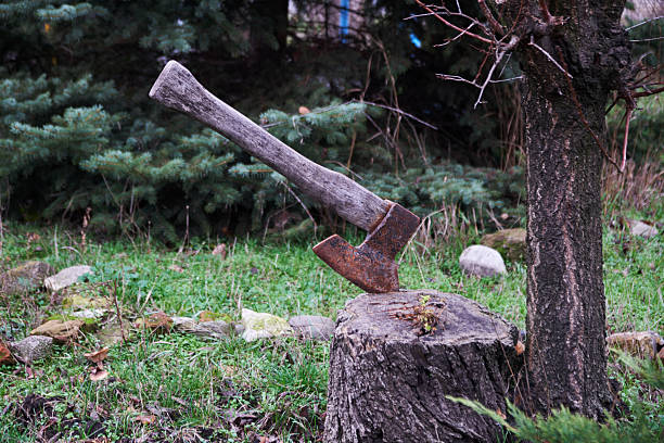 istock Old Rusty Axe Stuck in a Weathered Tree Stump Outdoors 2253846156