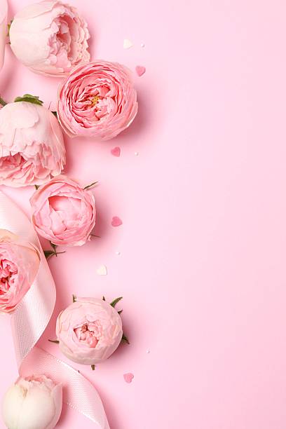 istock Beautiful pink peony roses on a color background 2253846668