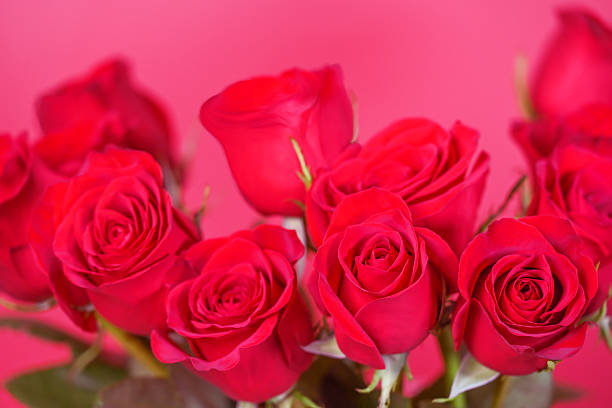 Beautiful bouquet of red roses