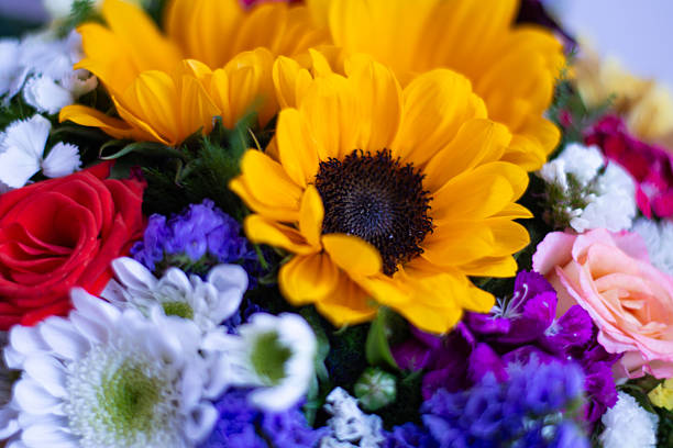 floral background of colorful flowers