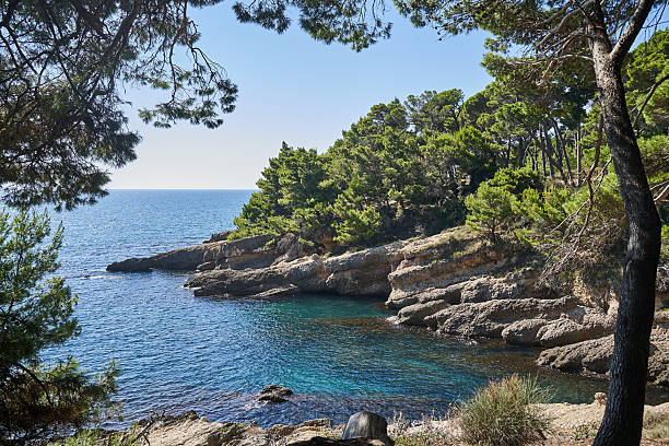 istock Rocky cliff on the Adriatic coast with coniferous stone pine trees 2253850623