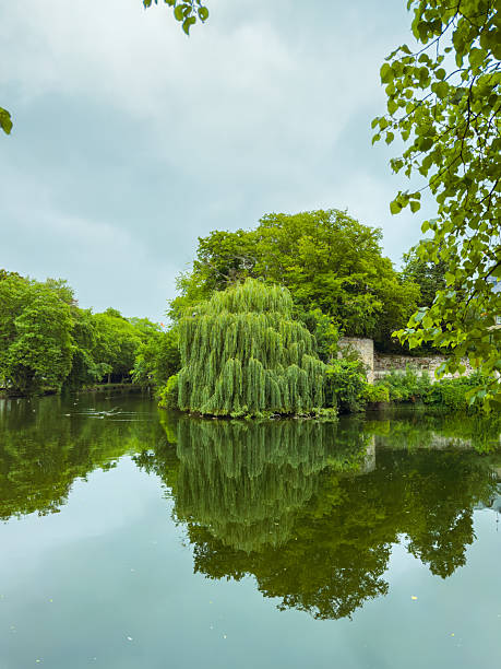 istock A tranquil reflection of lush greenery beautifully mirrored on a serene lake, all under a captivating cloudy sky that enhances the peaceful ambiance of this idyllic natural landscape 2253852588
