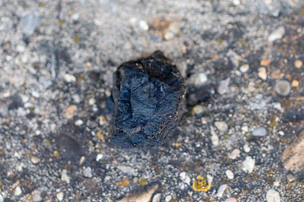 Black coal rock resting on textured ground, representing fossil fuel and resources
