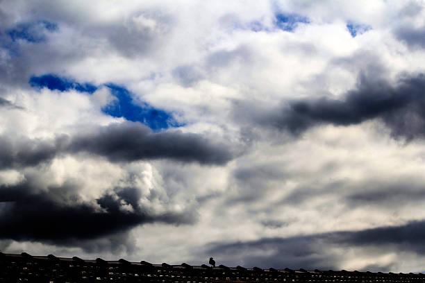 A lone bird perches on a rooftop under a dramatic, partly cloudy sky with a glimpse of blue in Sydney, NSW, Australia. (Photo by Tara Chand Malhotra)