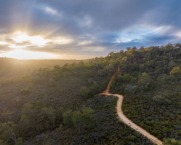 istock Aerial dirt track winding through forested hills at sunrise 2253859998