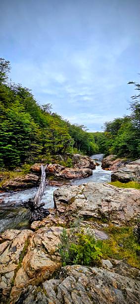 istock Photos of rivers 2253861472