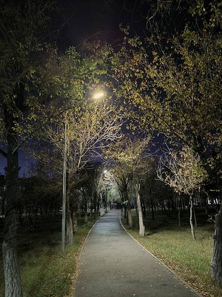 istock Serene Evening Stroll Illuminated Path Through Autumn Trees in a Park, Night Scenery 2253862525