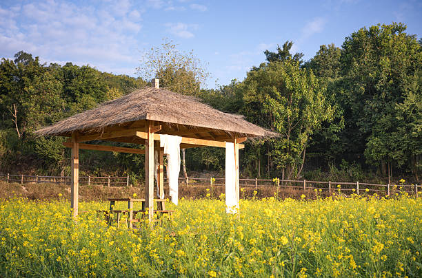 Thatched Pavilion Amid Blooming Flowers