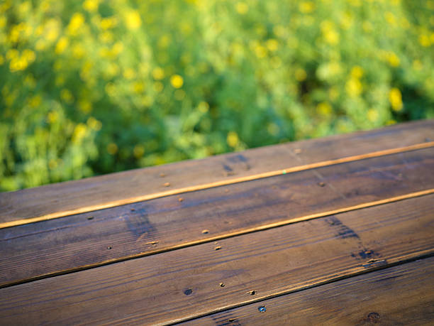 Wooden Table Amid Yellow Flowers