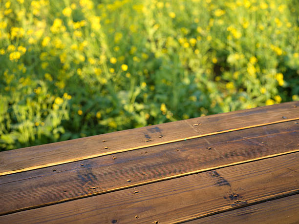 Wooden Platform Amid Yellow Flower Field
