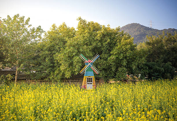 Colorful Windmills in a Flower Field