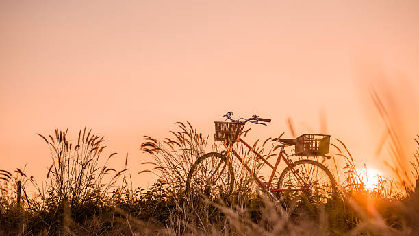 Capture the essence of a serene evening with this vintage bicycle parked amidst tall grass during sunset. The warm hues and peaceful setting evoke nostalgia and freedom. Ideal for blogs, travel, or lifestyle content. Perfect for social media, editorial use, and advertising.