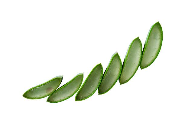 istock natural aloe vera slice isolated 2253876848
