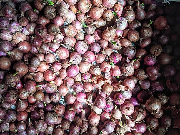 A pile of shallots ready for sale