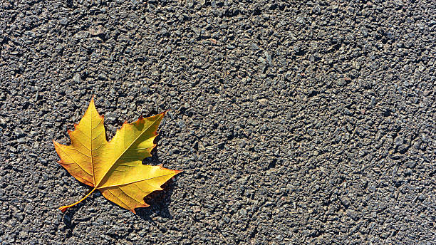 istock Autumn leaves with asphalt pavement textured background 2253878421