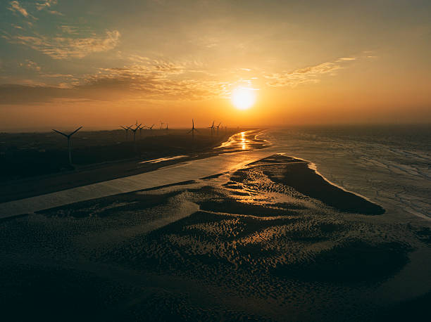 Wind farm on the beach at sunset