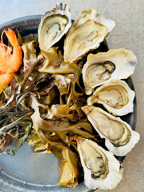 istock Prawns, Oysters and Seaweed on a Round Tray 2253881981