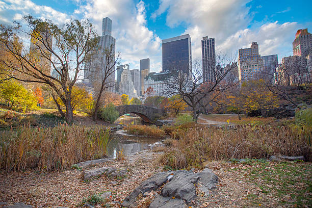 Central Park in Manhattan, New York, USA