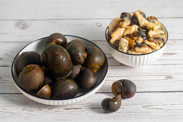 istock bowls filled with cleaned snail meat sit on a white rustic table, with several whole dark snail shells placed nearby for contrast 2253882598
