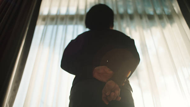 istock Peaceful back view of person by window. 2253885800
