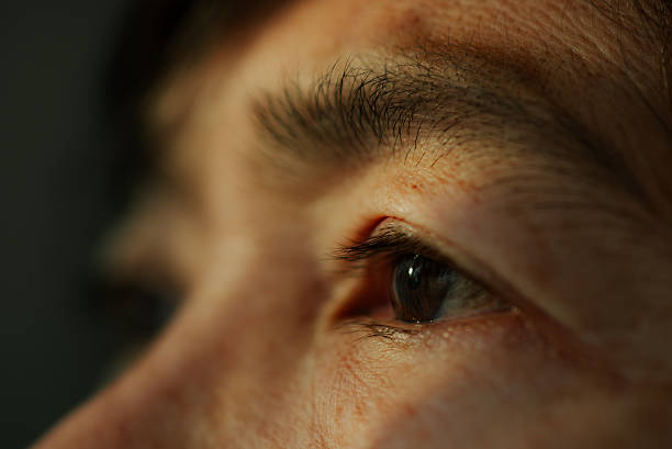 Dramatic light self portrait: bearded man in the shadow. Half of the face is illuminated by sunlight, the other is in the dark