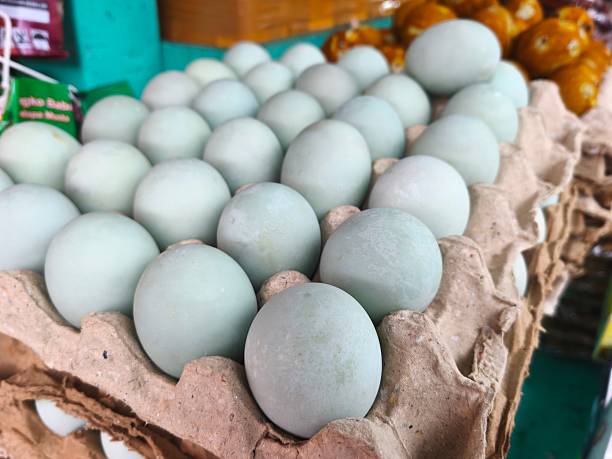 istock Authentic Indonesian Salted Duck Eggs from Brebes Arranged Neatly on an Egg Tray, Featuring Signature Pale Blue Shells and Savory Flavor for Traditional Culinary and Food Market Backgrounds 2253887395
