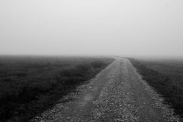A dirt road stretches into the fog, disappearing into the unknown under a soft, misty atmosphere. The image evokes mystery, solitude, and exploration, ideal for themes of travel, nature, and moody landscapes.