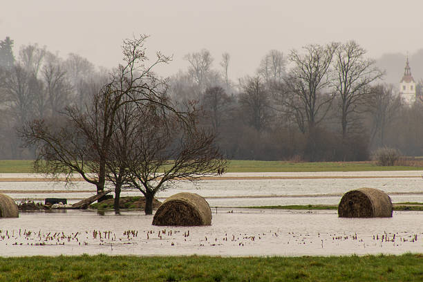 A rural landscape submerged under floodwaters, featuring partially visible hay bales and a wooden hut surrounded by bare trees. The scene is set under a gray, overcast sky, creating a somber and dramatic atmosphere that reflects the impact of severe flooding on agricultural land. This image conveys themes of natural disaster, climate change, and rural vulnerability.