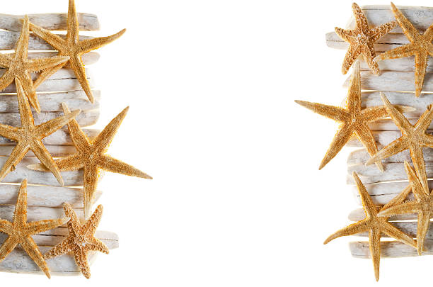 Starfish frame with wooden sticks isolated on white background.Decorative frame made of wooden sticks and starfish isolated on white background. Summer, beach, marine and vacation concept with copy space.