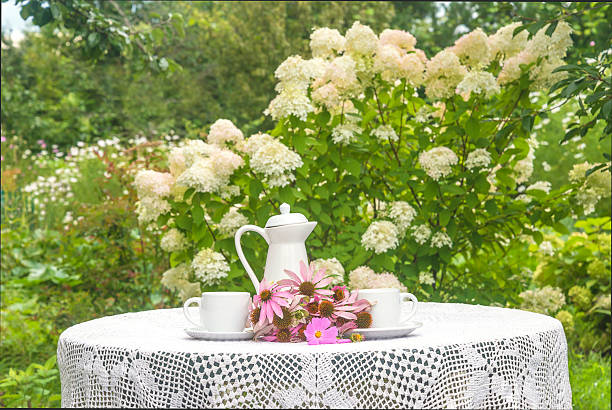 Two white cups of tea, tea pot, bouquet of pink flowers on a table in a blooming garden
