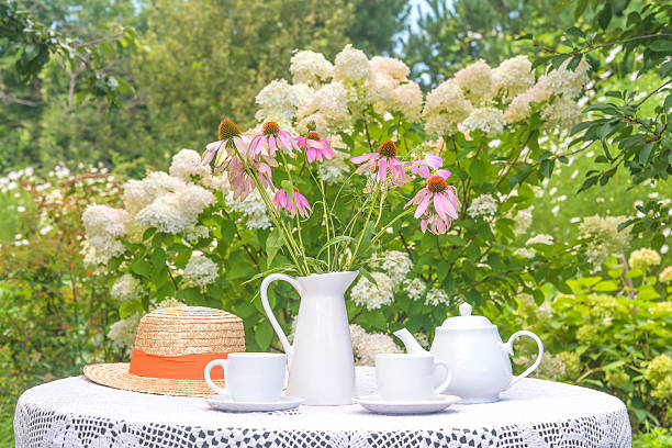 Two white cups of tea, tea pot, bouquet of pink flowers on a table in a blooming garden