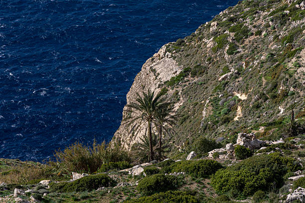 Rocky coast of Malta, natural landscape. Dingli Cliffs