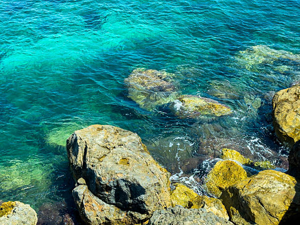 Sunlight reflects off vibrant turquoise waters, revealing rocks beneath the surface. The serene coastline invites visitors to enjoy the beauty of nature and calm surroundings.