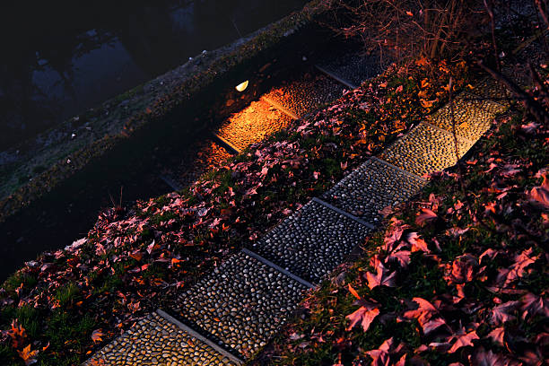 Illuminated stone pedestrian path covered with fallen autumn leaves, photographed at night with warm artificial lighting. Diagonal composition with textured paving stones and natural foliage, suitable for concepts of urban design, atmosphere, seasons, evening walk, background, and copy space.