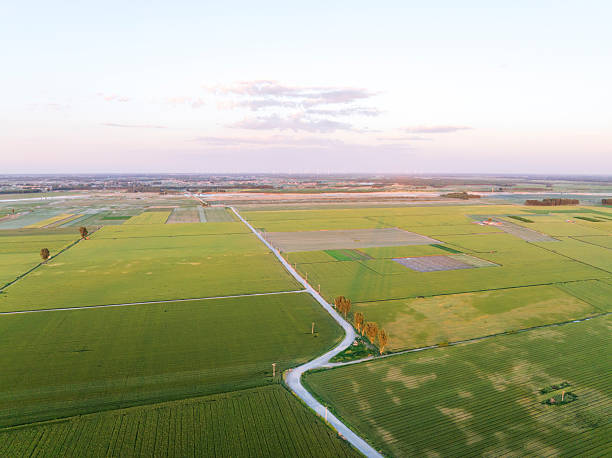 istock Wheat is growing in the field ,The wheat fields are under the blue sky and white clouds 2253897481
