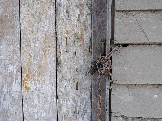 Rusty chain and padlock securing an old weathered wooden door. Vintage rustic background featuring peeling paint and aged timber texture on a locked abandoned shed
