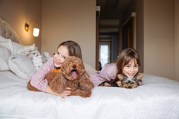 istock Happy sisters playing with dogs 2253901867