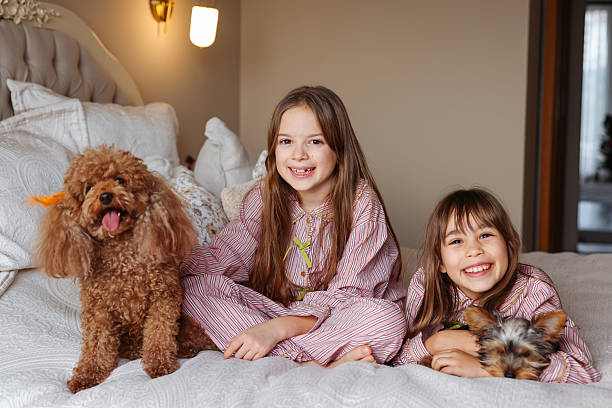 istock Happy sisters playing with dogs 2253902024