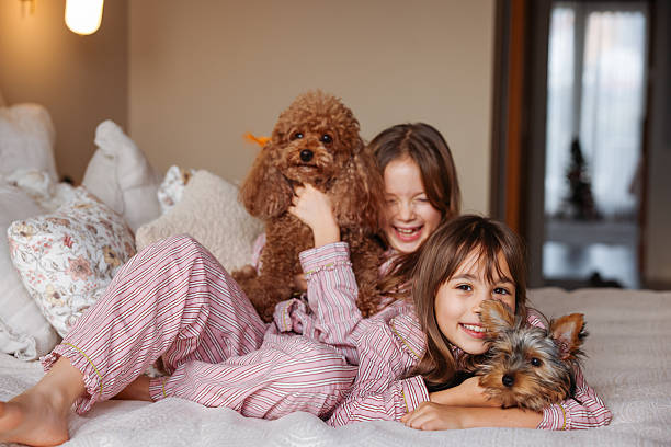 istock Happy sisters playing with dogs 2253902088