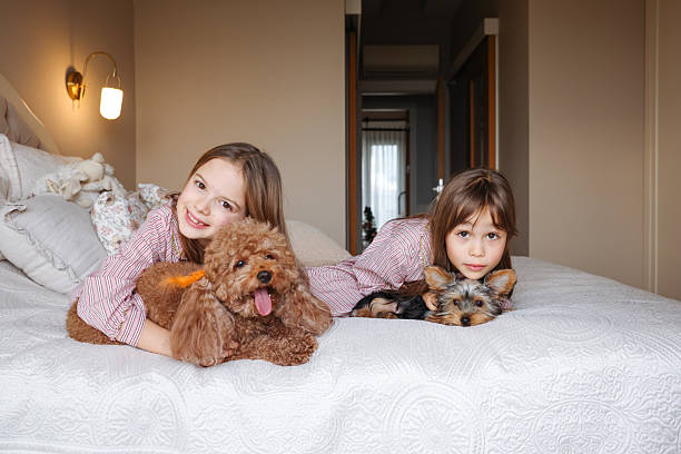 istock Happy sisters playing with dogs 2253902385