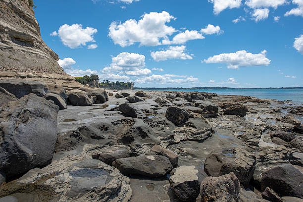 Layered rocky outcrop dipping into the sea.
