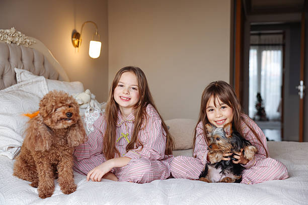 istock Happy sisters playing with dogs 2253902499