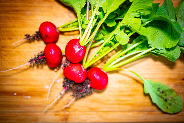 Freshly harvested radishes from a wooden surface. The vibrant red radishes, with their green tops and earthy roots, showcase the freshness and natural beauty of garden produce. The scene emphasizes the connection between the farm and the kitchen, highlighting the importance of fresh ingredients in cooking.